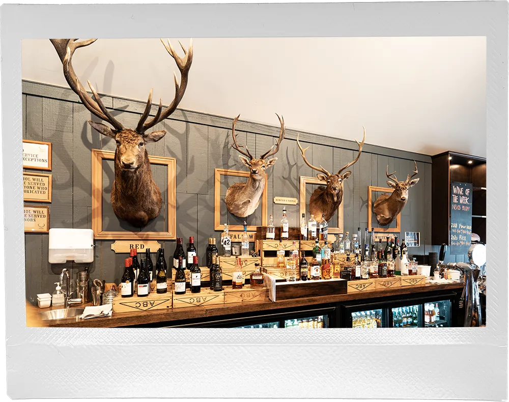a bar with deer heads mounted on the wall